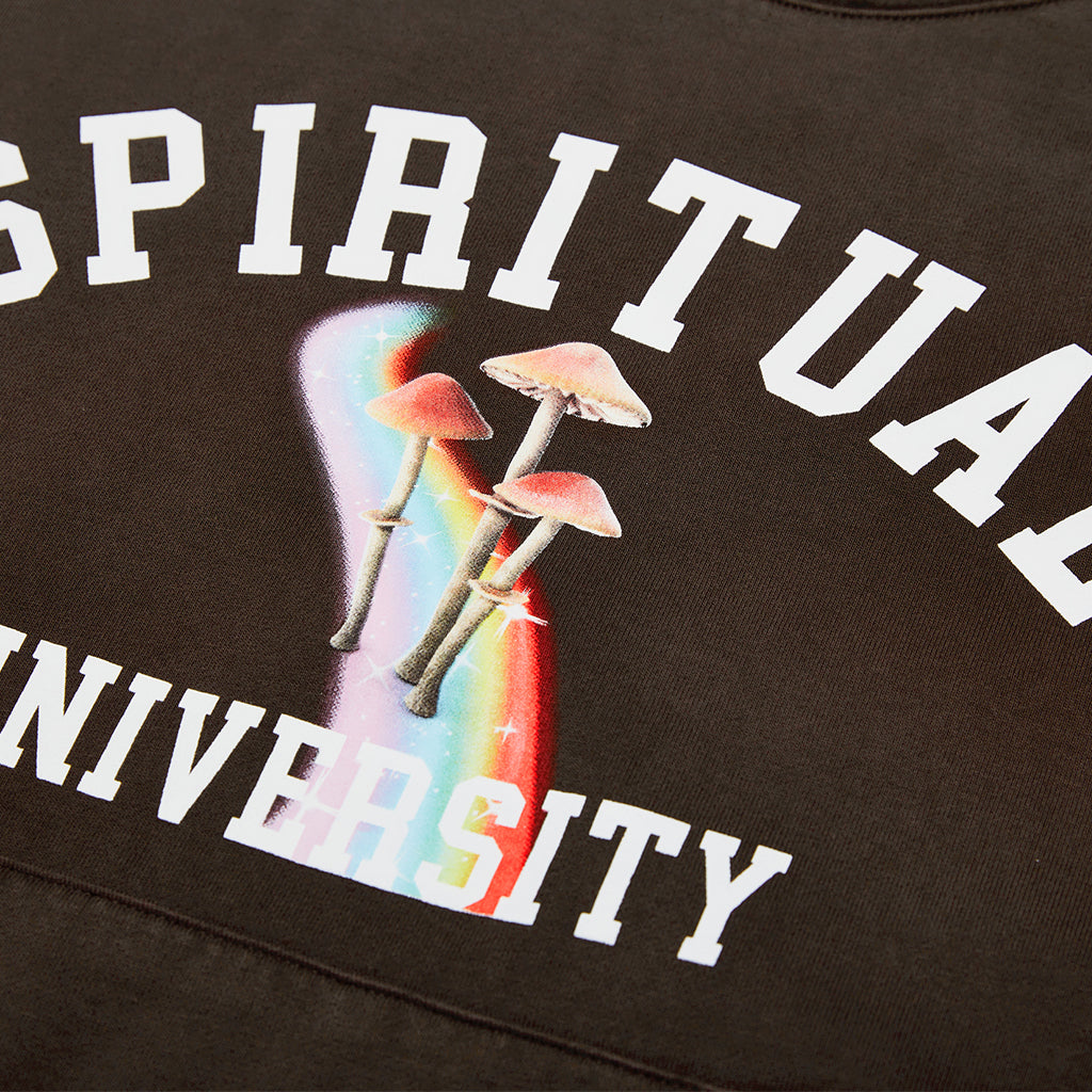 SPIRITUAL UNIVERSITY HOODIE