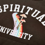 Load image into Gallery viewer, SPIRITUAL UNIVERSITY HOODIE
